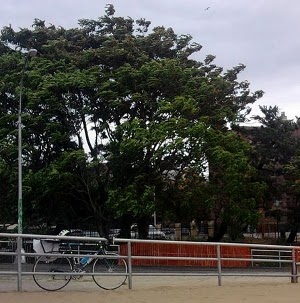 Bicycle at Brighton Beach